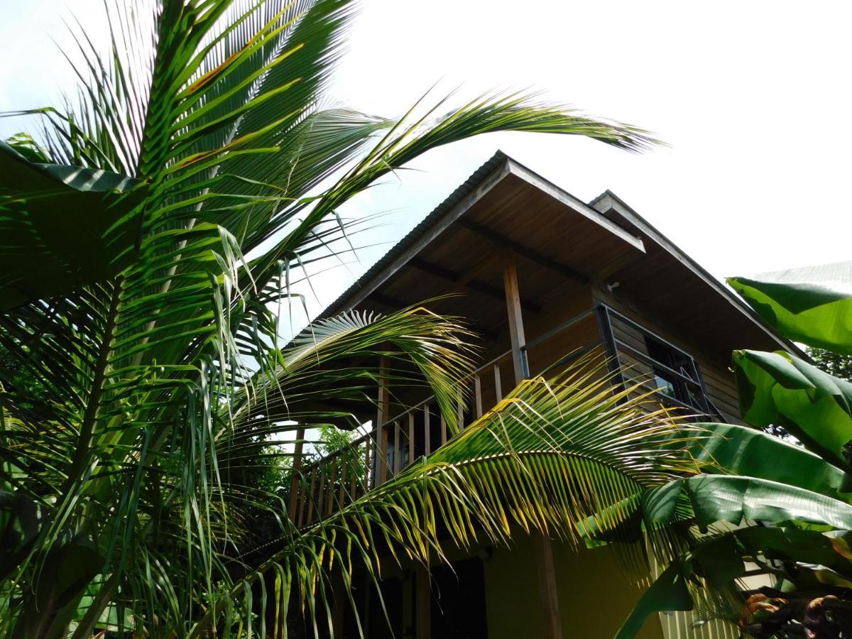 Chill-Inn Nosara Bagian luar foto